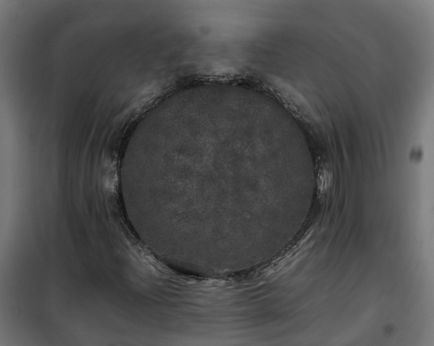X0000100491204200806201645
