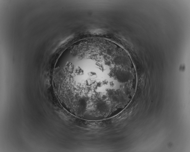 X0000100491205200806201645