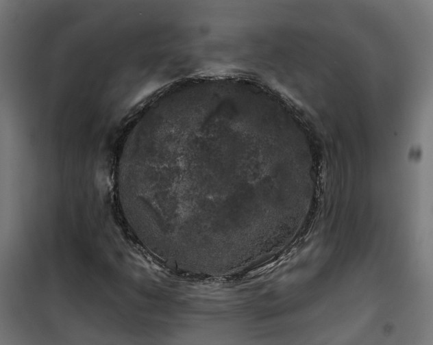 X0000100491206200806201645