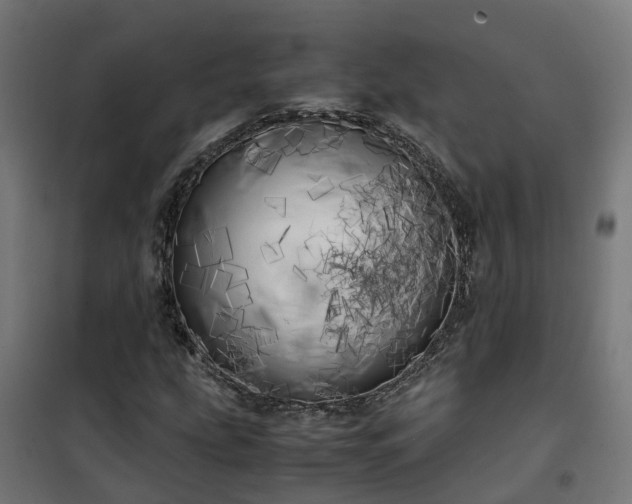 X0000100491207200806201645