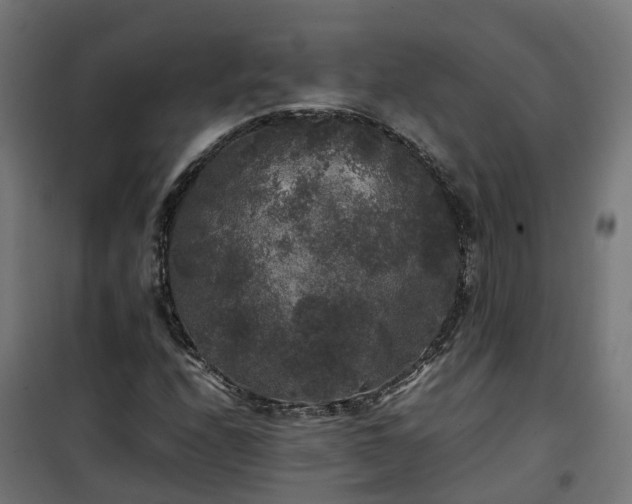 X0000100491208200806201645