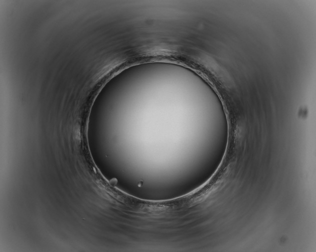X0000100491209200806201645