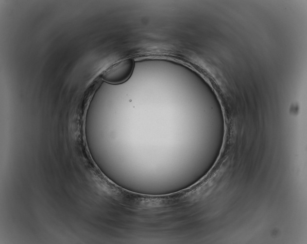 X0000100491211200806201645
