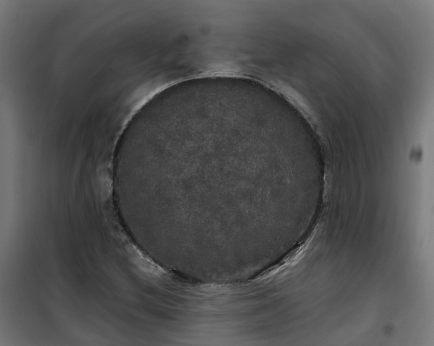 X0000100491212200806201645