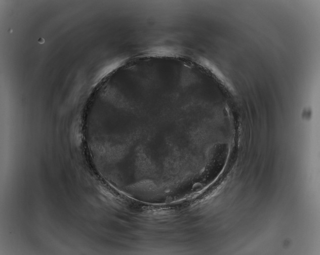 X0000100491213200806201645