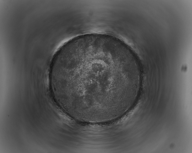 X0000100491214200806201645