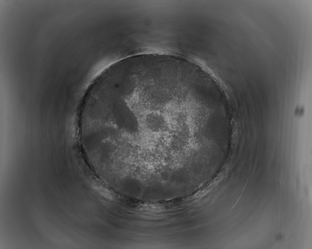 X0000100491215200806201645