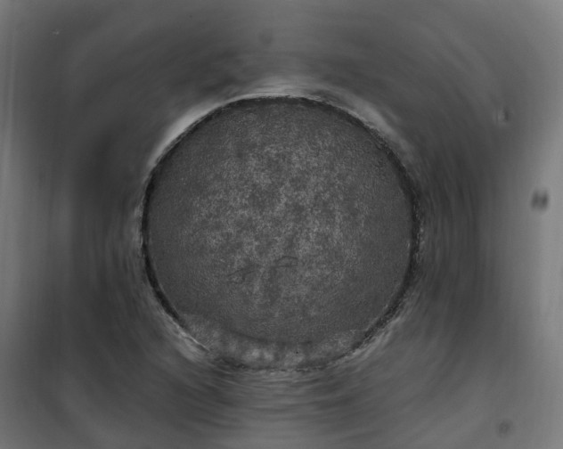 X0000100491216200806201645