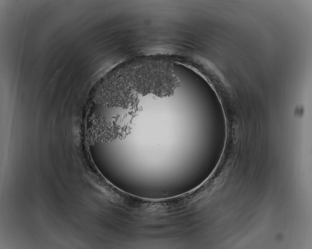 X0000100491217200806201645