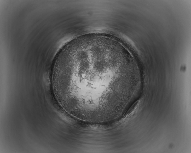 X0000100491218200806201645