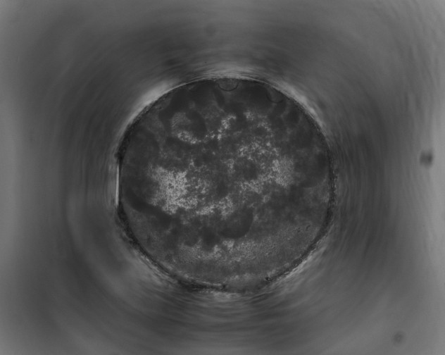 X0000100491219200806201645