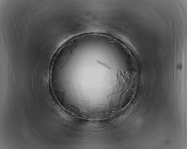 X0000100491220200806201645