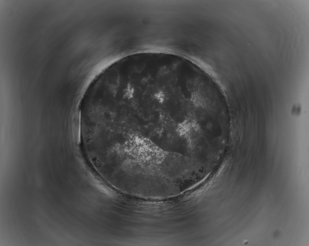 X0000100491223200806201645