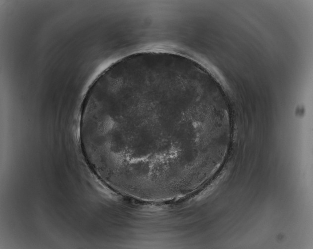 X0000100491224200806201645