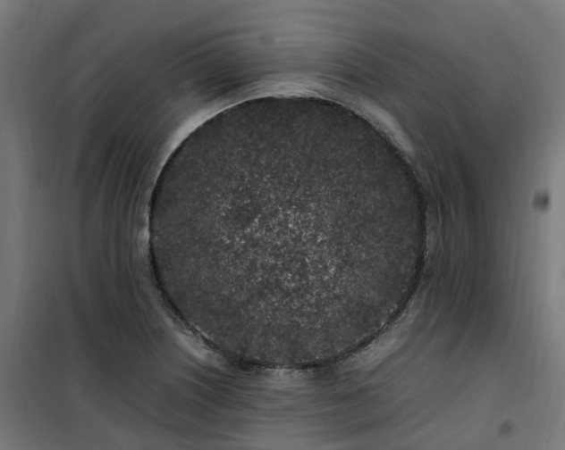 X0000100491226200806201645