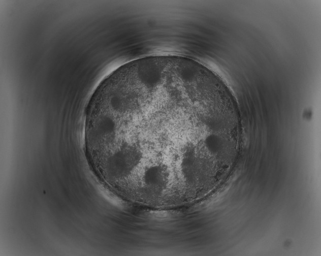 X0000100491227200806201645