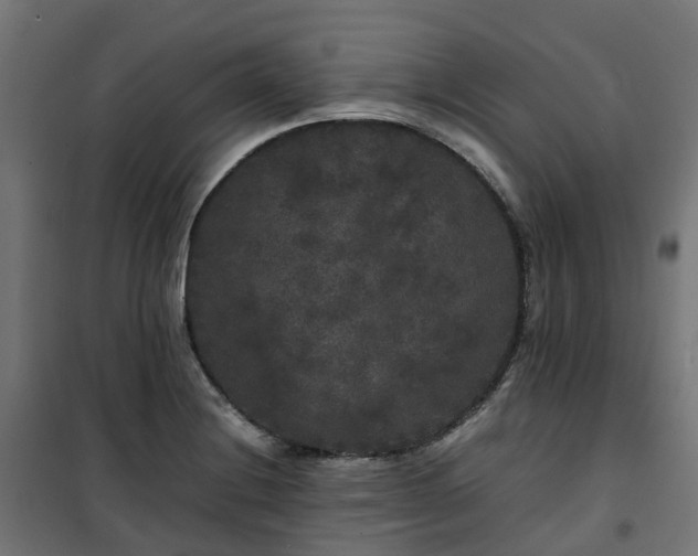 X0000100491228200806201645
