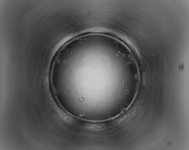 X0000100491229200806201645