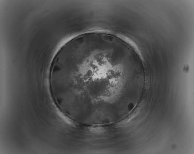 X0000100491231200806201645