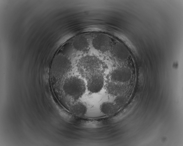 X0000100491233200806201645