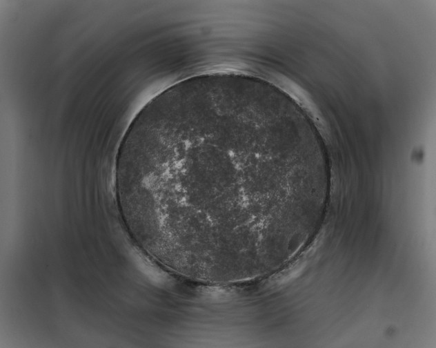 X0000100491234200806201645