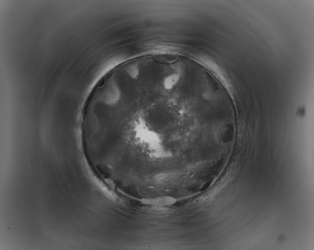 X0000100491235200806201645