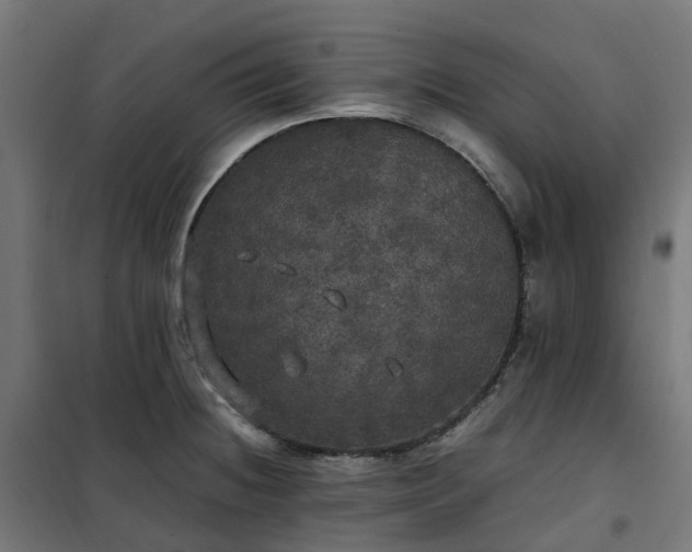 X0000100491236200806201645