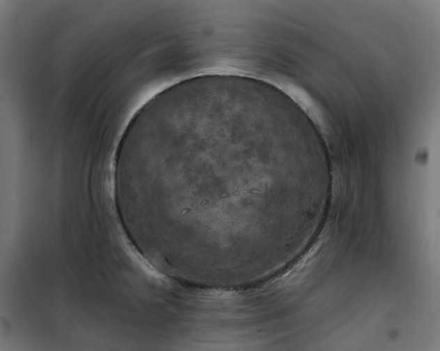 X0000100491238200806201645