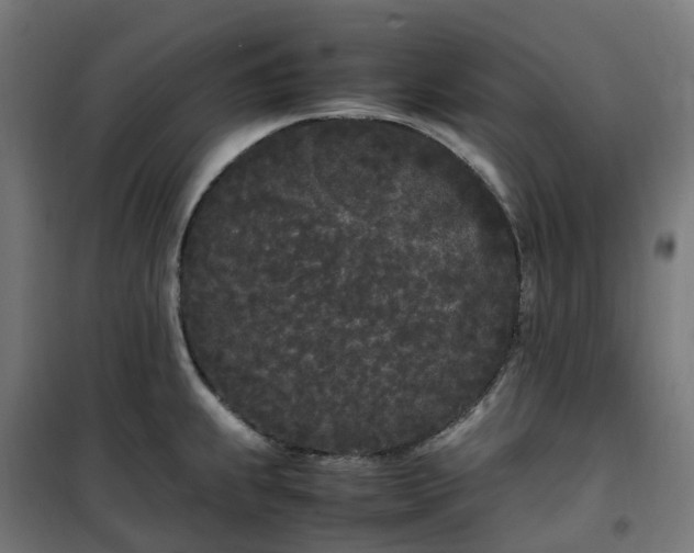 X0000100491239200806201645