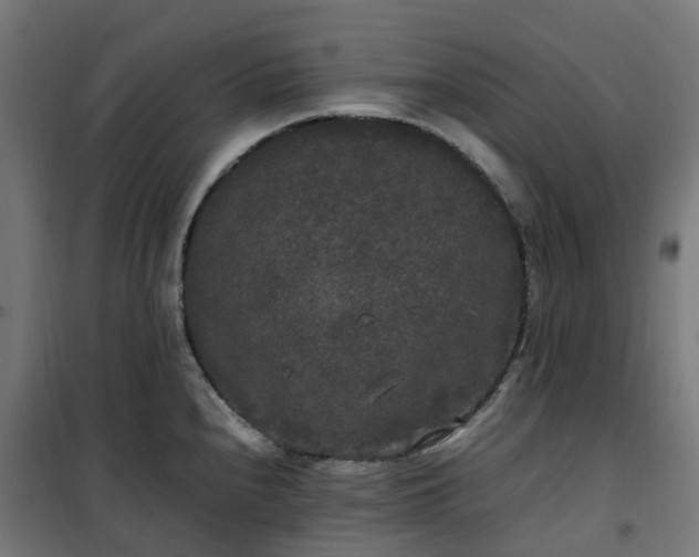 X0000100491240200806201645