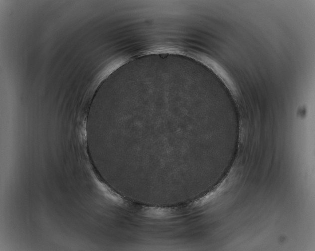 X0000100491241200806201645