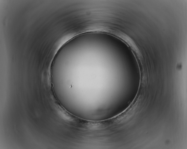 X0000100491242200806201645