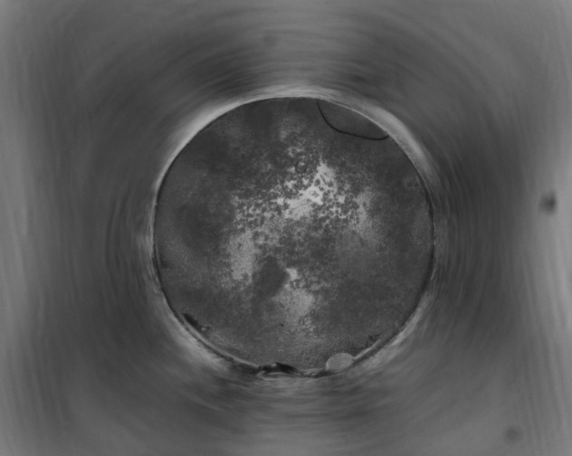X0000100491244200806201645