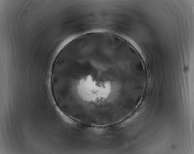 X0000100491245200806201645