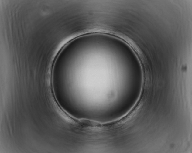 X0000100491246200806201645