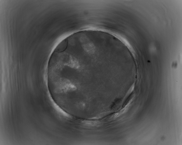 X0000100491247200806201645