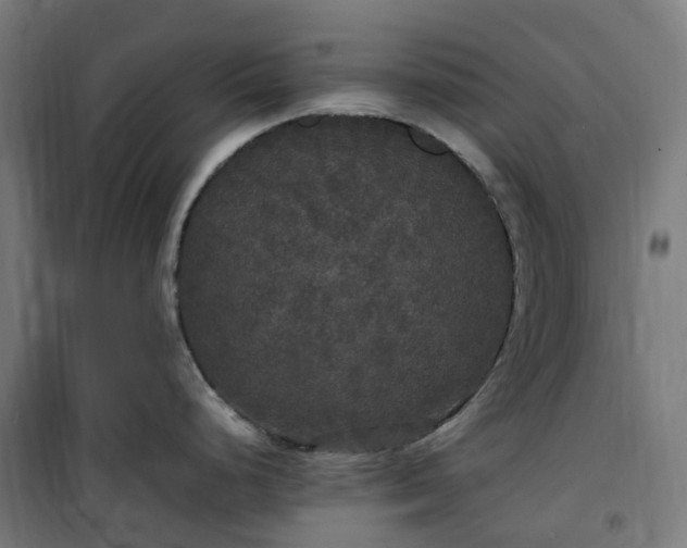 X0000100491248200806201646