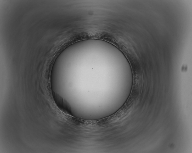 X0000100491249200806201645