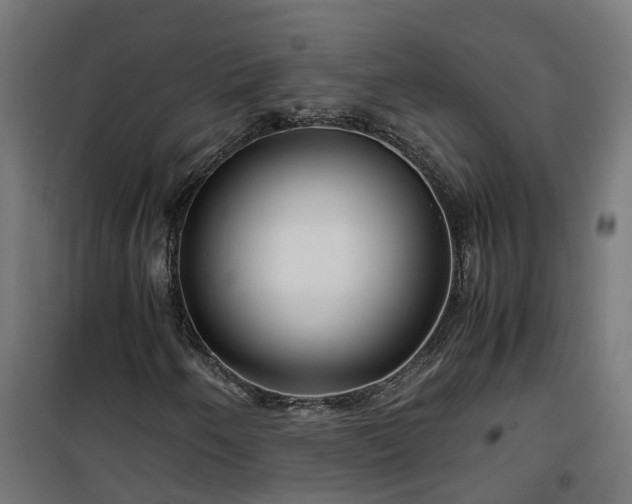 X0000100491250200806201645