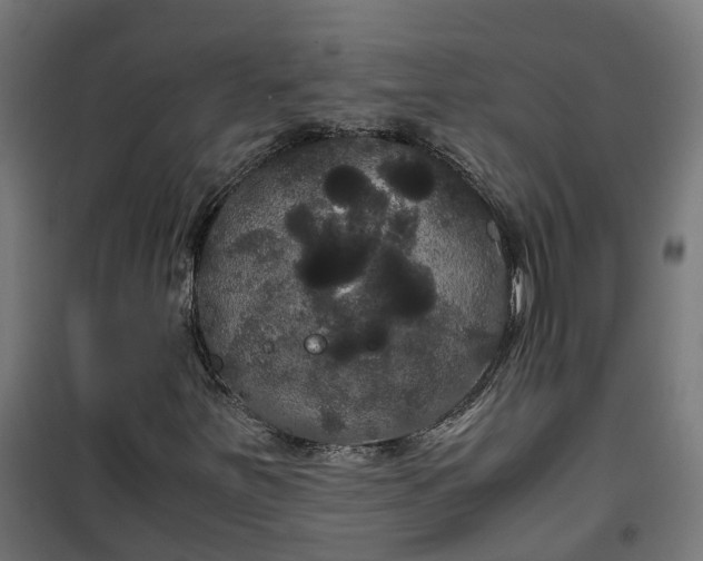 X0000100491251200806201645