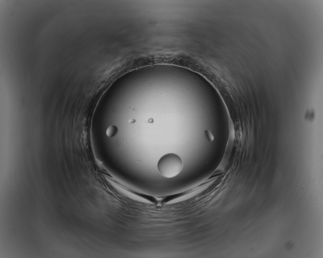 X0000100491252200806201645