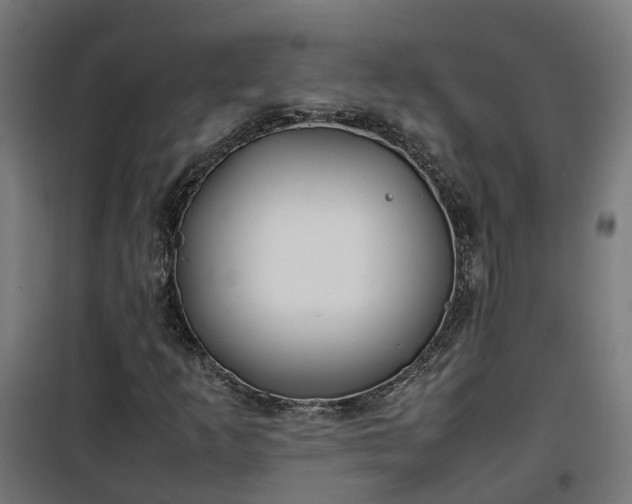 X0000100491253200806201645