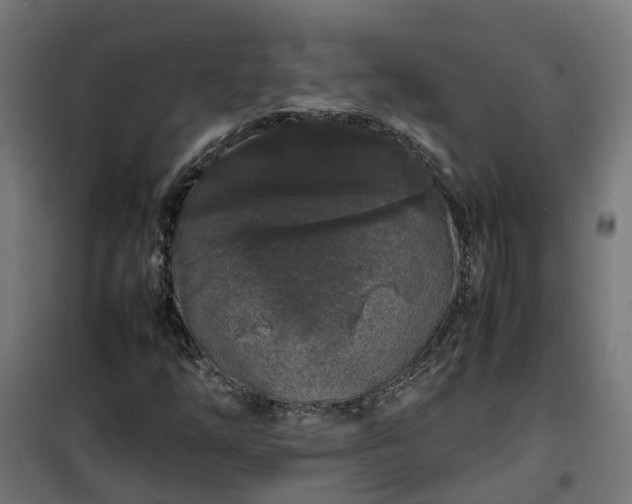 X0000100491254200806201645