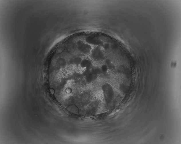 X0000100491255200806201645