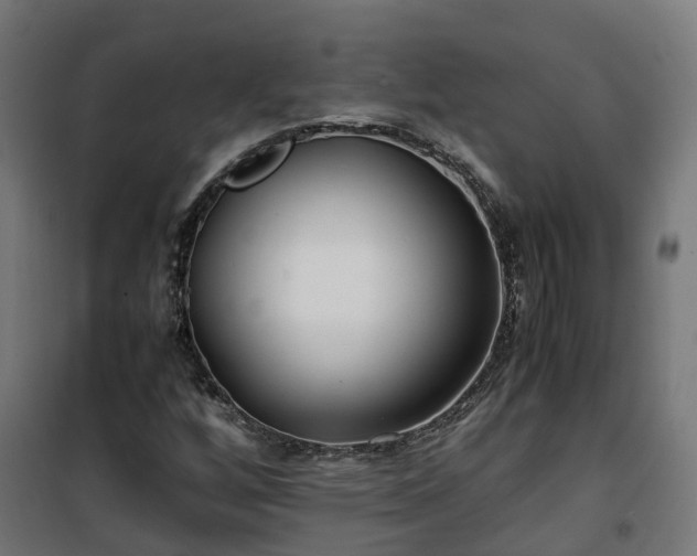 X0000100491256200806201645