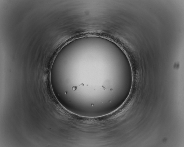 X0000100491257200806201645