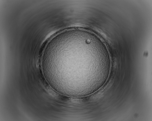 X0000100491258200806201645
