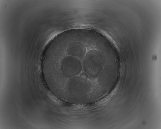 X0000100491259200806201645