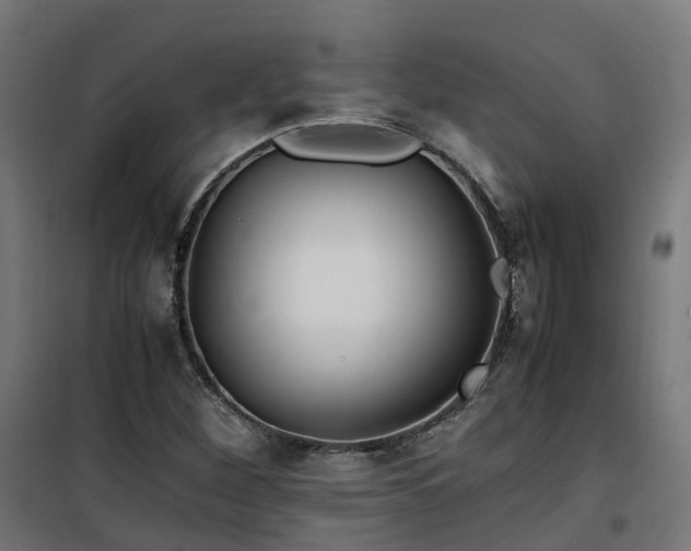X0000100491260200806201645