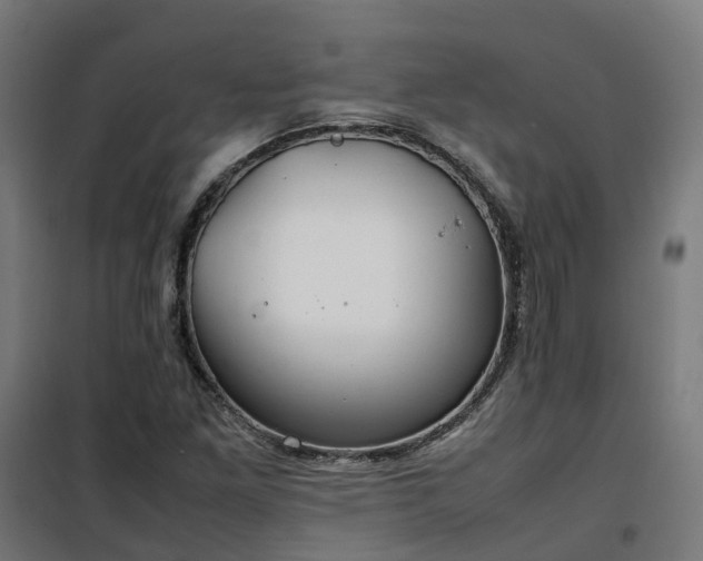 X0000100491261200806201644